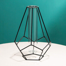 Geometric Glass Vase with Elegant Metal Frame, Modern Clear Tube Planter for Home and Office Decor (Black B)