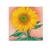 Sonnenblumen-Kunstdruck von Maggie1937, 61 x 61 cm – Schlafzimmerdekoration, Poster passend zu verschiedenen Einrichtungsstilen