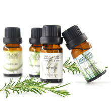 Portable Humidifier Water-Soluble Dropper Essential Oil For Humidifier And Aromatherapy Machine 10Ml