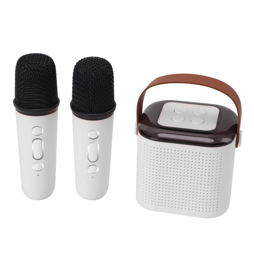 Μίνι Μηχανή Καραόκε, Φορητή Bluetooth Καραόκε με 2 Ασύρματα Μικρόφωνα, Μηχανή Καραόκε
