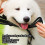 Dog Muzzle Adjustable Nylon with Secure Buckle for Outdoor Walking and Training 3