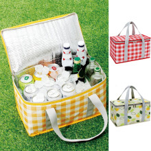 LEAQU Geïsoleerde Picknickmand, Lekvrije Opvouwbare Koeltas met Stevige Handvatten, Opbergtas voor Picknickmaaltijden in de Buitenlucht