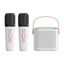 Mini Karaokee Machine Portable Bluetooth Karaoke Speaker with 2 Wireless Microphones and Party Lights for Kids&Adults-A