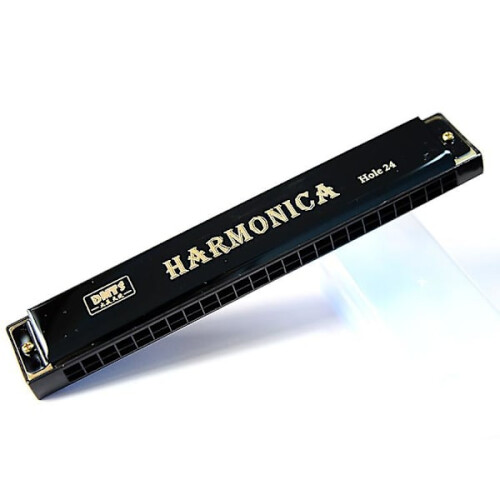 24-Hole Metal Harmonica Professional Harmonica for Beginners Black