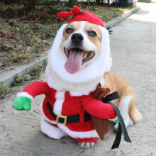 Vianočný kostým pre psa Lucky Santa Clausa, vianočné oblečenie pre šteniatka, obleky, klobúk pre domáce zvieratá, psy, mačky, párty,
