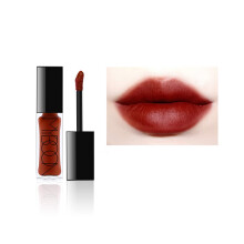 Waterproof Matte Liquid Lipstick Long Lasting Velvet Finish Bold Tomato Red Shade 12