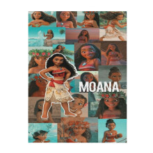 Měkká a pohodlná deka Moana, plyšová, lehká, teplá, plyšová flanelová deka a přehozy na gauč, rozkládací pohovku 40"X30"