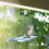 Cat Window Perch Hammock Hanging Bed Suction Cup Basking Cushion Resting Seat Space Saving Window Mount Playing Basking 5