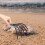 Scraper Tool Clamptight Clamming Shell Digging Rake for Wood Handle Dredge with Mesh Stainless Steel 2