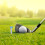 6 Pcs Golf Tee Gift Stuff Small Tall Tees Reusable Magnet 4