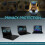 Privacy Screen Filter for 11.6 Inches Laptop 2