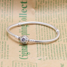 S925 sterling zilveren armband, Latijnse armband voor dames, eenvoudige slangenbottenketting voor vrouwen