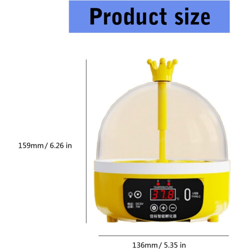 Automatic 4 Egg Incubator with Clear View Window for Birds and Reptiles Hatching 1