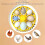 Automatic 4 Egg Incubator with Clear View Window for Birds and Reptiles Hatching 5