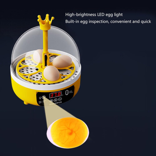Automatic 4 Egg Incubator with Clear View Window for Birds and Reptiles Hatching 2