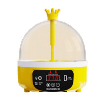 Automatic 4 Egg Incubator with Clear View Window for Birds and Reptiles Hatching