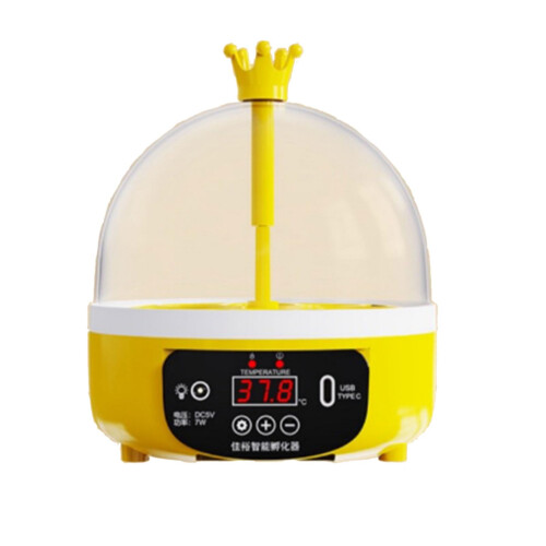 Automatic 4 Egg Incubator with Clear View Window for Birds and Reptiles Hatching
