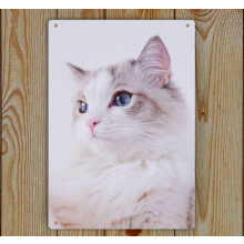 Aranyos Ragdoll macska művészeti nyomat kosárlabda vasfestmény alumínium tábla férfiaknak nőknek faldekoráció bárokhoz, éttermekhez,