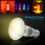 Hands DIY 30W Warm White Decorative Light Bulbs, High Temp Resistant 5
