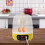 Mini Automatic Egg Incubator with Turning, Temp Control, 4 Eggs for Chicken Duck Goose Hatching 2