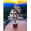 Seven Chakra100Beads & Gomti Chakra Rudraksh108Tree Combo 2
