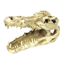 Cabeça de Crocodilo Decorativa para Aquário ou Escritório - Réptil/Animal Réptil - Decoração para Aquário