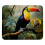 Mousepad quadrado de 21 x 25 cm (8,3 x 9,8 polegadas), com estampa de tucano, ideal para jogos em laptops, com borda costurada e base de borracha 1
