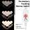 3-color temperature mirror front light USB single bathroom makeup light bulbs, power source: 6 LEDs 4