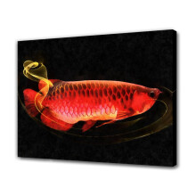 Pôster de pintura de peixe, tela decorativa para parede, arte para sala de estar, quarto, estilo moldura, 20x30cm (8x12 polegadas)