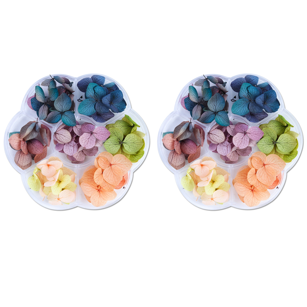 Nail Art Dried Flowers 3D Nail Art Stickers Colorful Natural Flower Petals Art Design Decorative Female Nail Stickers