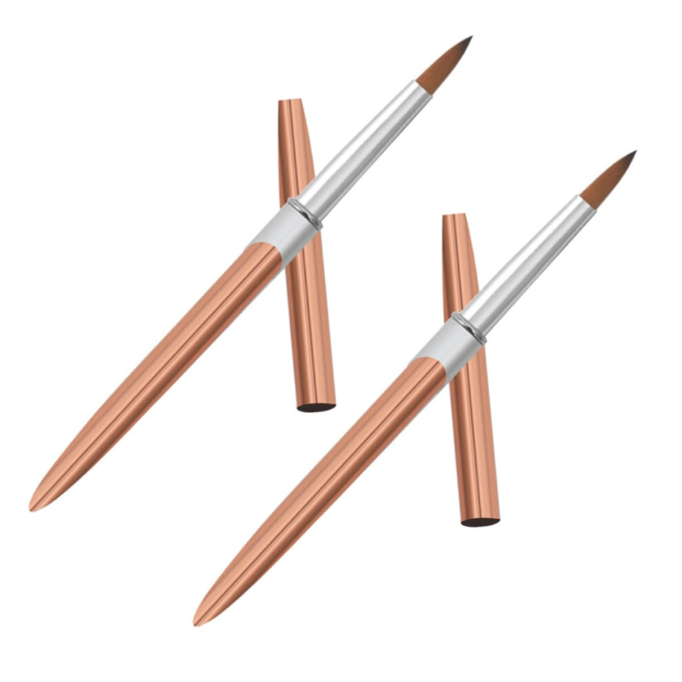 2PCS Fine Tip Nail Art Brush Set with Ergonomic Metal Handle for Precision Detailing and Salon Manicure