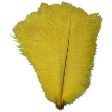 20 struisvogelveren, 15-28 cm, echte natuurlijke struisvogelveren voor knutselprojecten, thuis, feestjes en bruiloften, geel