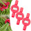 Runskmd Πολυχρηστικός Κυκλικός Κόφτης Χειρός, Κόφτης Λαχανικών για Τηγανητές 2