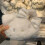 Ιαπωνική λευκή τσάντα Hello Kitty με κινούμενα σχέδια, βελούδινη τσάντα αποθήκευσης 1