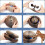 Kitty Kurlz – Ανθεκτικό παιχνίδι ακορντεόν για γάτες, για διαδραστικό τρίψιμο με 7