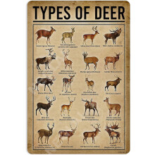 Poster cu semne metalice „Type Of Deer Knowledge”, decorațiuni vintage, decor de artă de perete, 40x30 cm