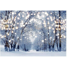7x5ft Winter Scene Backdrop Wonderland Snowflake Photography Background Bokeh Glitter White Snow Forest