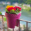 hanging balcony box Lofly railing 25 cm diameter, anthracite color 3