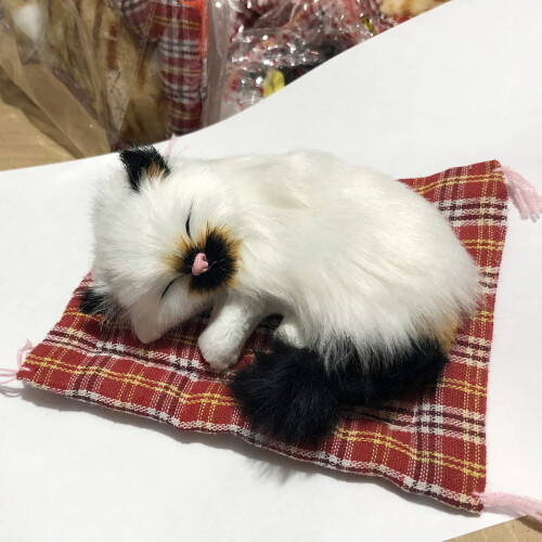 Peluche Chatons Mignons avec Tapis de Couchage - Décoration Intérieure ZTGD Simulation 2