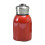 SHAPERME Μικρό Θερμοδοχείο 10oz/300ML, Μίνι Φιάλη Αέρος, Ανοξείδωτο Ατσάλινο Μπουκάλι 5