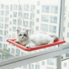 Mysig hängande kattbädd med starka sugkoppar | Bekväm katthängmatta med sittpinnar och grotta | Högkvalitativa katthustillbehör