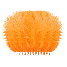 Sonderangebot! 50 bunte Federn von Fdelink für Hochzeiten, Partys, Heimdeko, Bastelarbeiten, Haare und Kleidung – kompatibel mit Fdelink