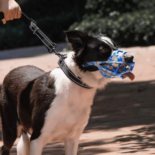 Mairbeon Ρύγχος Σκύλου Ανθεκτικό σε Δάκρυα, Ρυθμιζόμενο Κάλυμμα Στόματος Σκύλου με 2