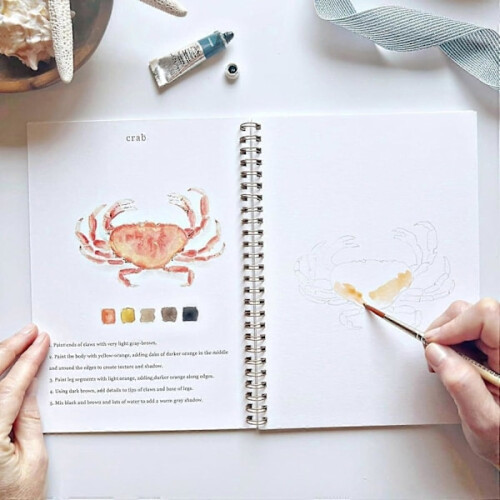 Τετράδια εργασίας ακουαρέλας, κιτ κατάλληλο για αρχάριους με σετ μπογιάς 12 1