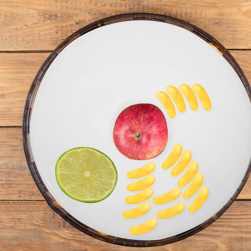 Dehydrator Food Tray Dehydrators Baking Mat Dryer Plastic Pad for Fruit White 2