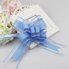 10 Stück 12 cm lange Schleifen aus Band zum Verpacken von Geschenken, für Hochzeiten, Geburtstage, Jubiläen und Dekorationen, passend zu Blumen