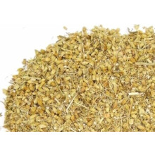 Frische Kräuter/Gewürze – Bio-getrocknete Schafgarbenblüten und -kräuter – Achillea millefolium