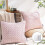 Phantoscope 18" x 18" Modern Light Pink Chevron Polyester Throw Pillow , ( 2 Count) 1