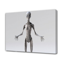 Affiche sur toile représentant une créature extraterrestre générée par IA, décoration de chambre, paysage sportif, décoration de bureau,