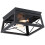 Unbranded2Light Caged Square/Rectangle Flush Mount Fixture Matte Black 1
